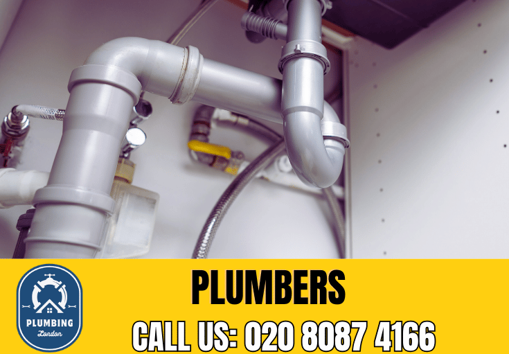  plumber Muswell Hill