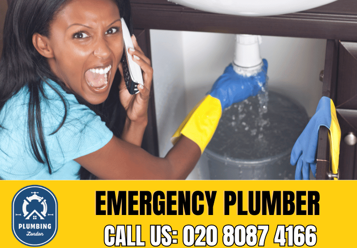 emergency plumber Crouch End