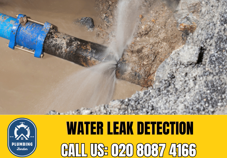 leak detection Crouch End